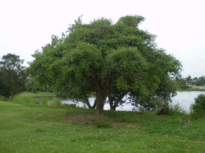 52.jpg