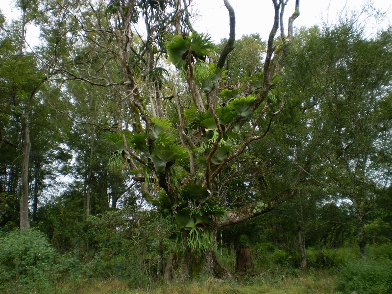 55.jpg
