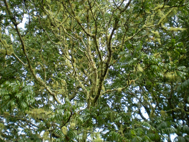61.jpg