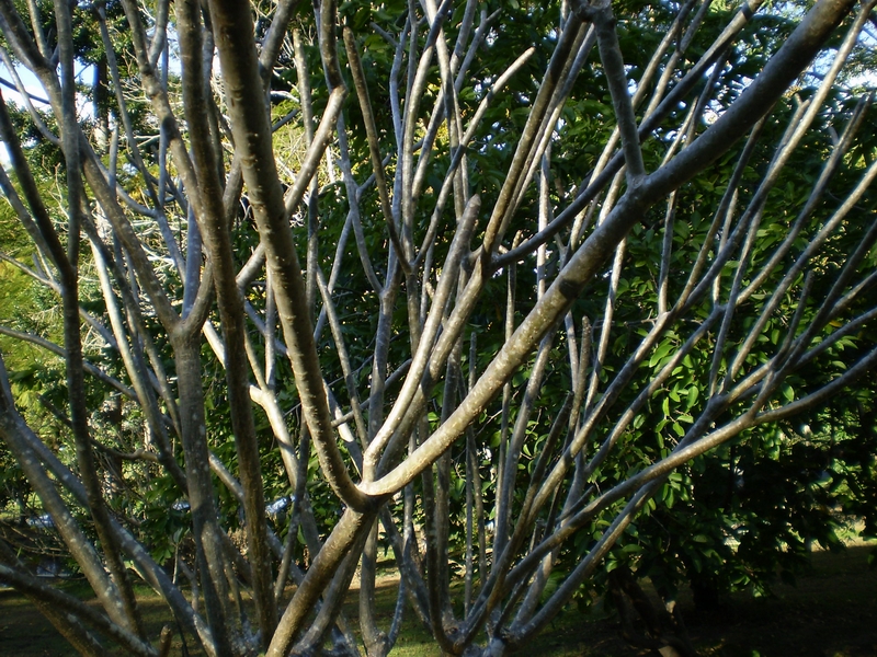 63.jpg