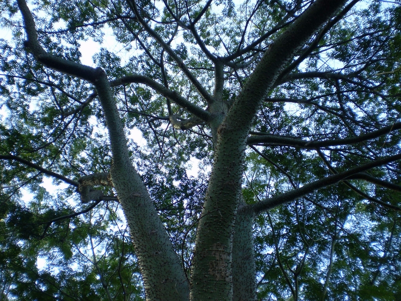 66.jpg