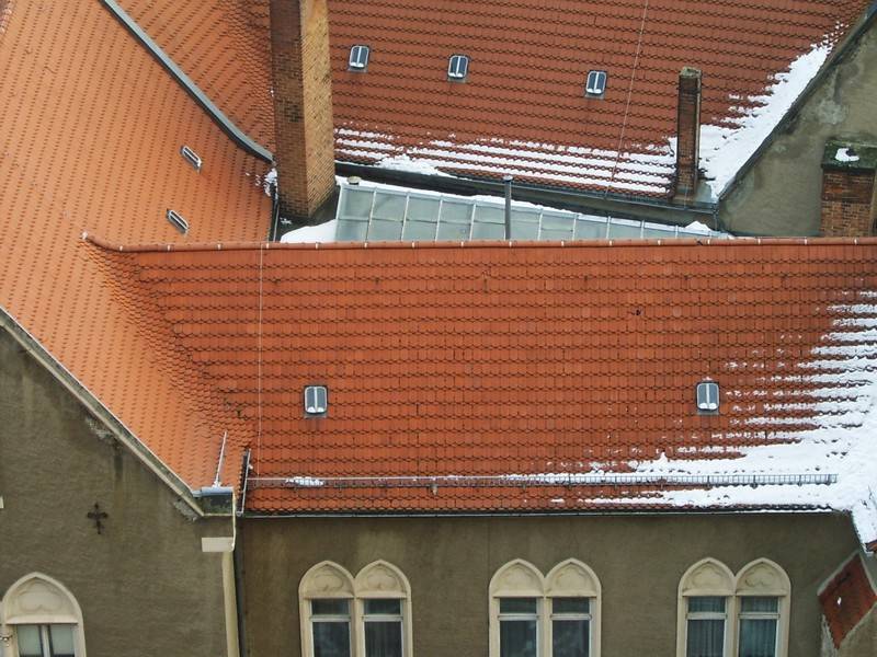 097.jpg