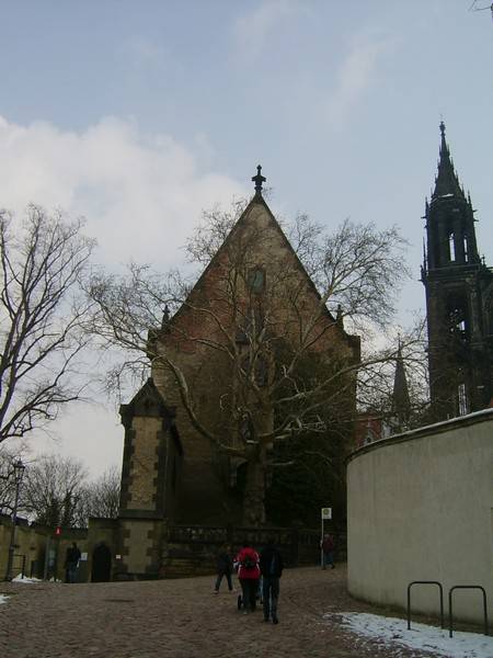 100.jpg