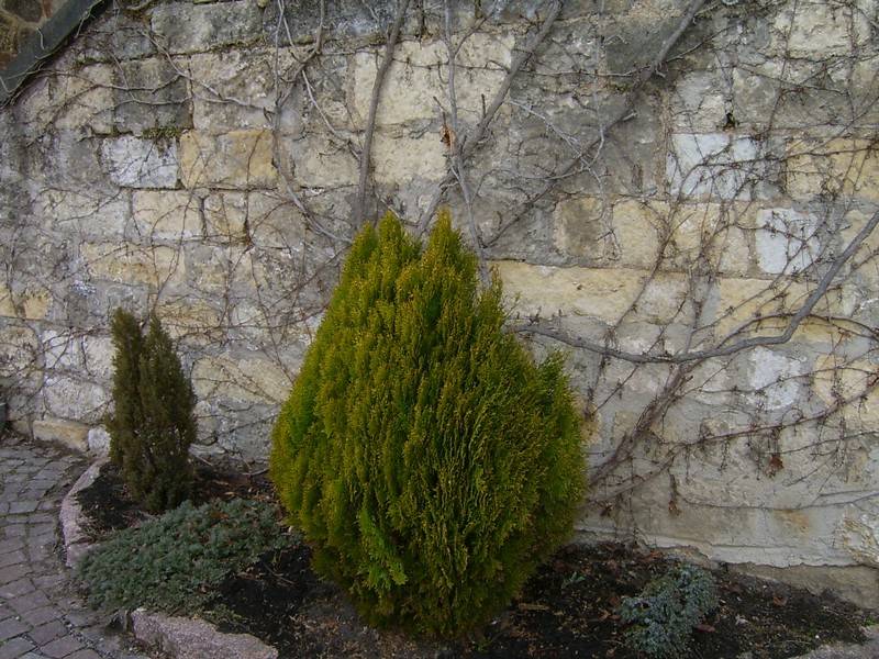 104.jpg