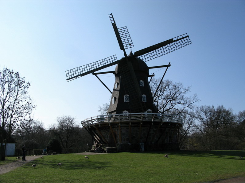 86.jpg