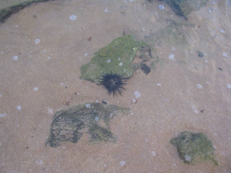 184.jpg